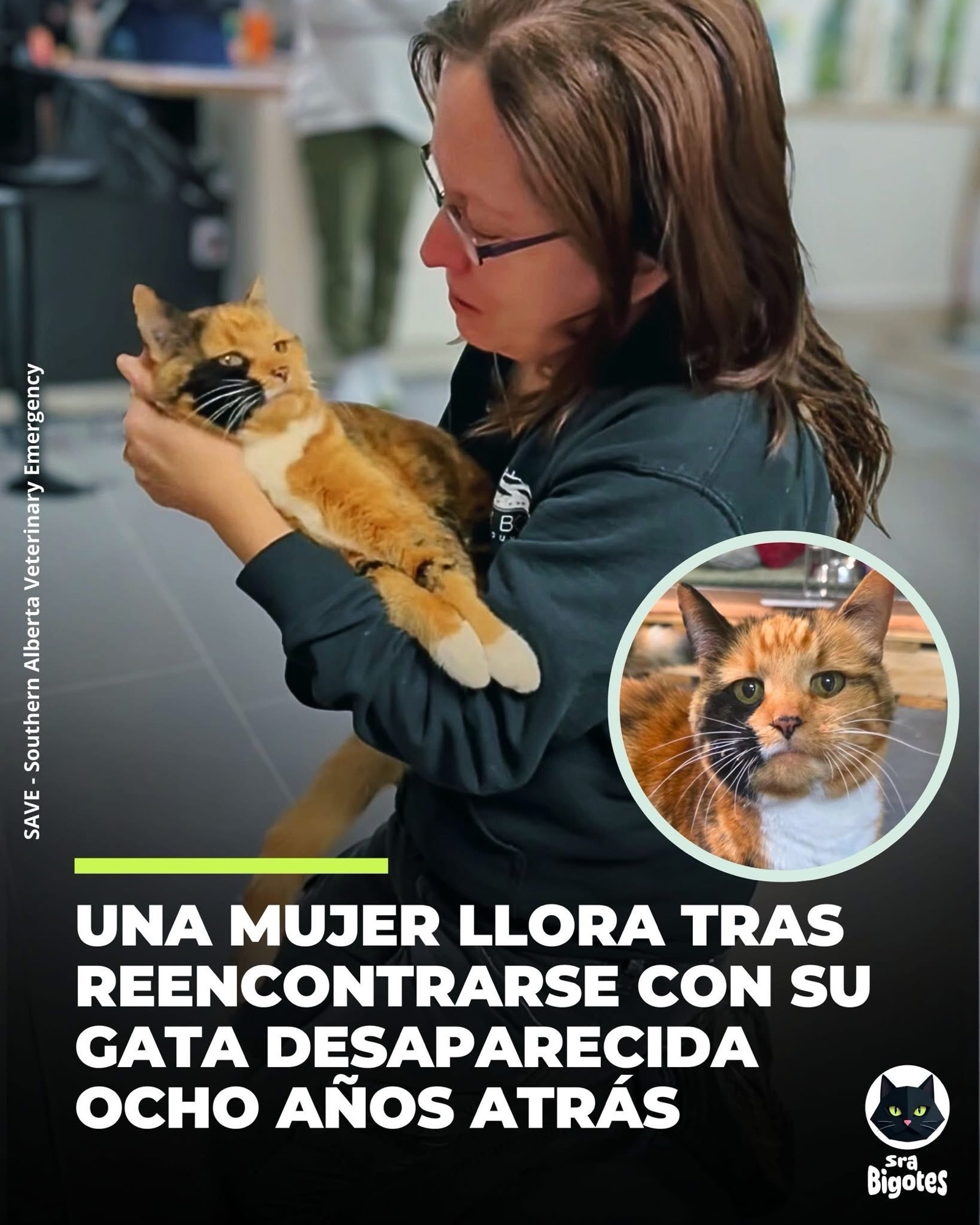 Todo comenzó con un encuentro inesperado