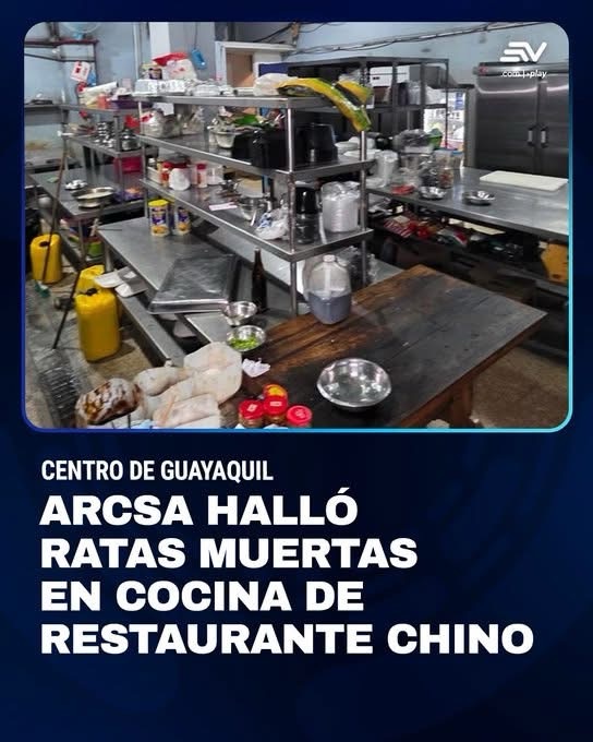 ARCSA CLAUSURÓ UN RESTAURANTE CHINO EN EL CENTRO DE GUAYAQUIL, TRAS HALLAR UNA RATA VIVA Y DOS MUERTAS EN LA COCINA