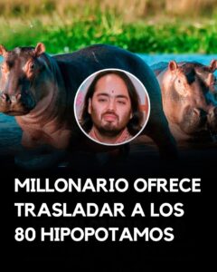 Anant Ambani, un magnate indio, se ha ofrecido a rescatar 80 hipopótamos en peligro en Colombia