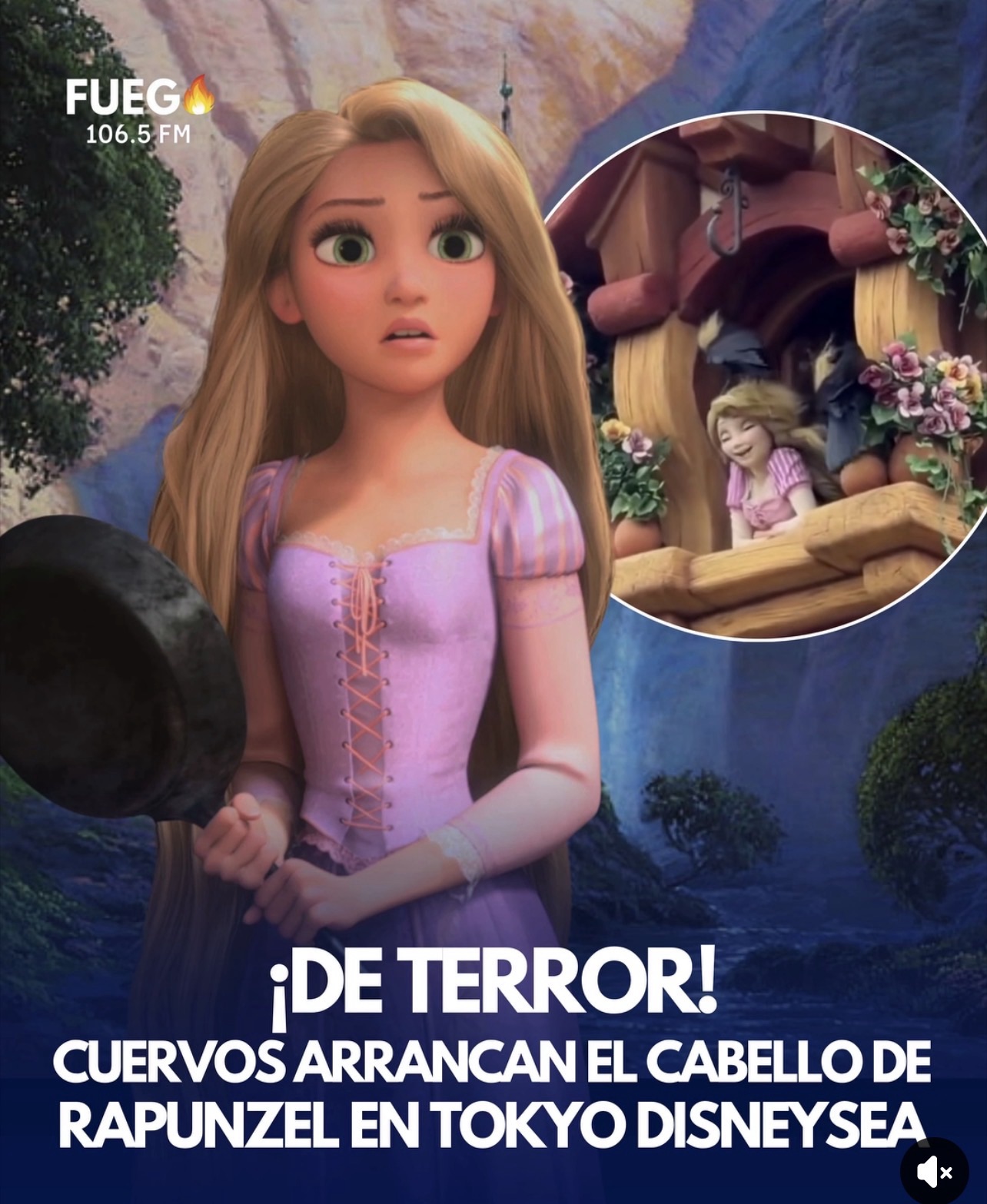 Mientras la figura robótica continuaba con sus movimientos programados y su canto característico, las aves persistieron en su tarea de recolectar el material, presuntamente para la construcción de sus nidos.