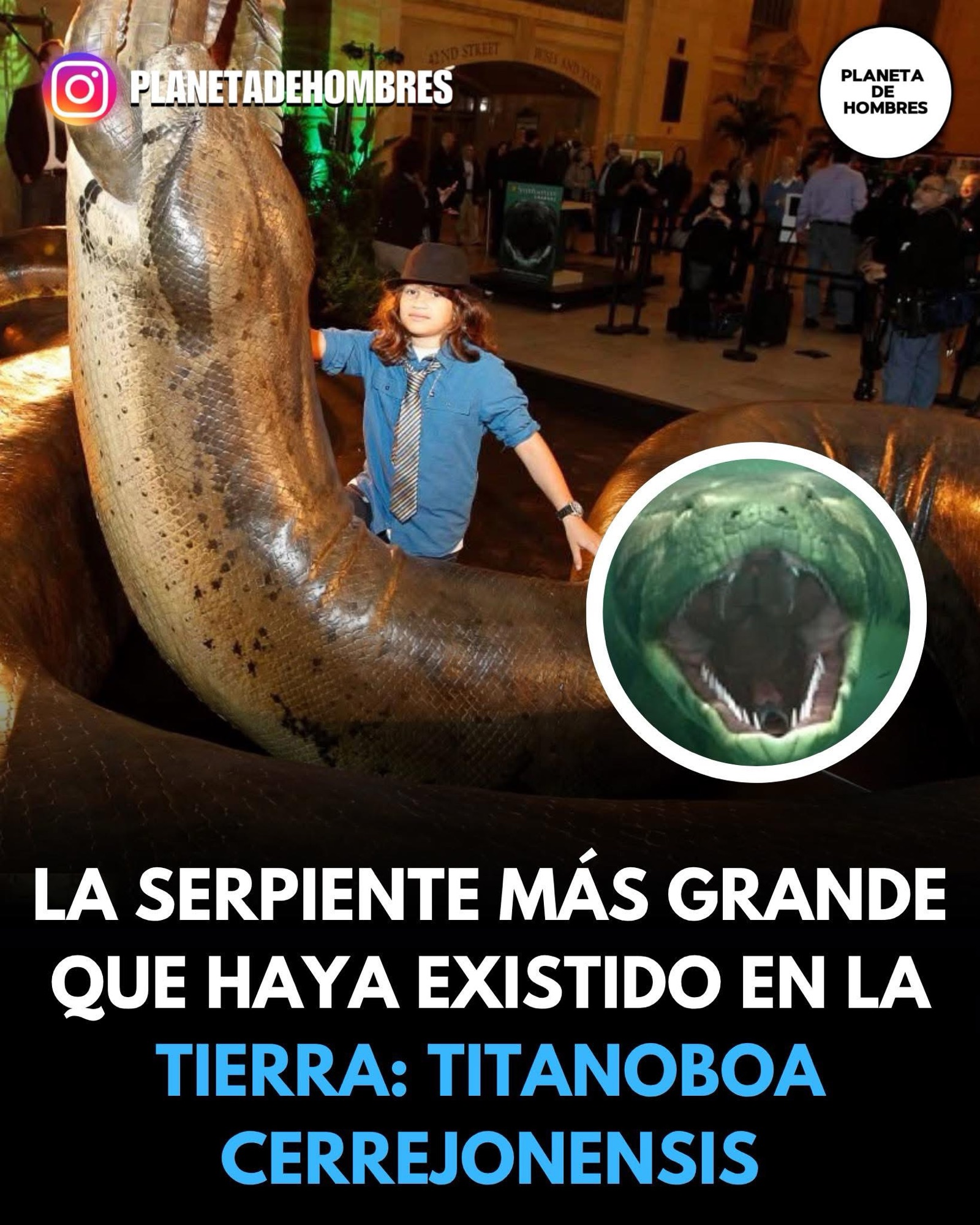 🐍 EL MONSTRUO QUE REINÓ TRAS LOS DINOSAURIOS