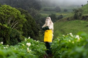 Proteger al agricultor: una urgencia que se siente en la piel del campo ecuatoriano