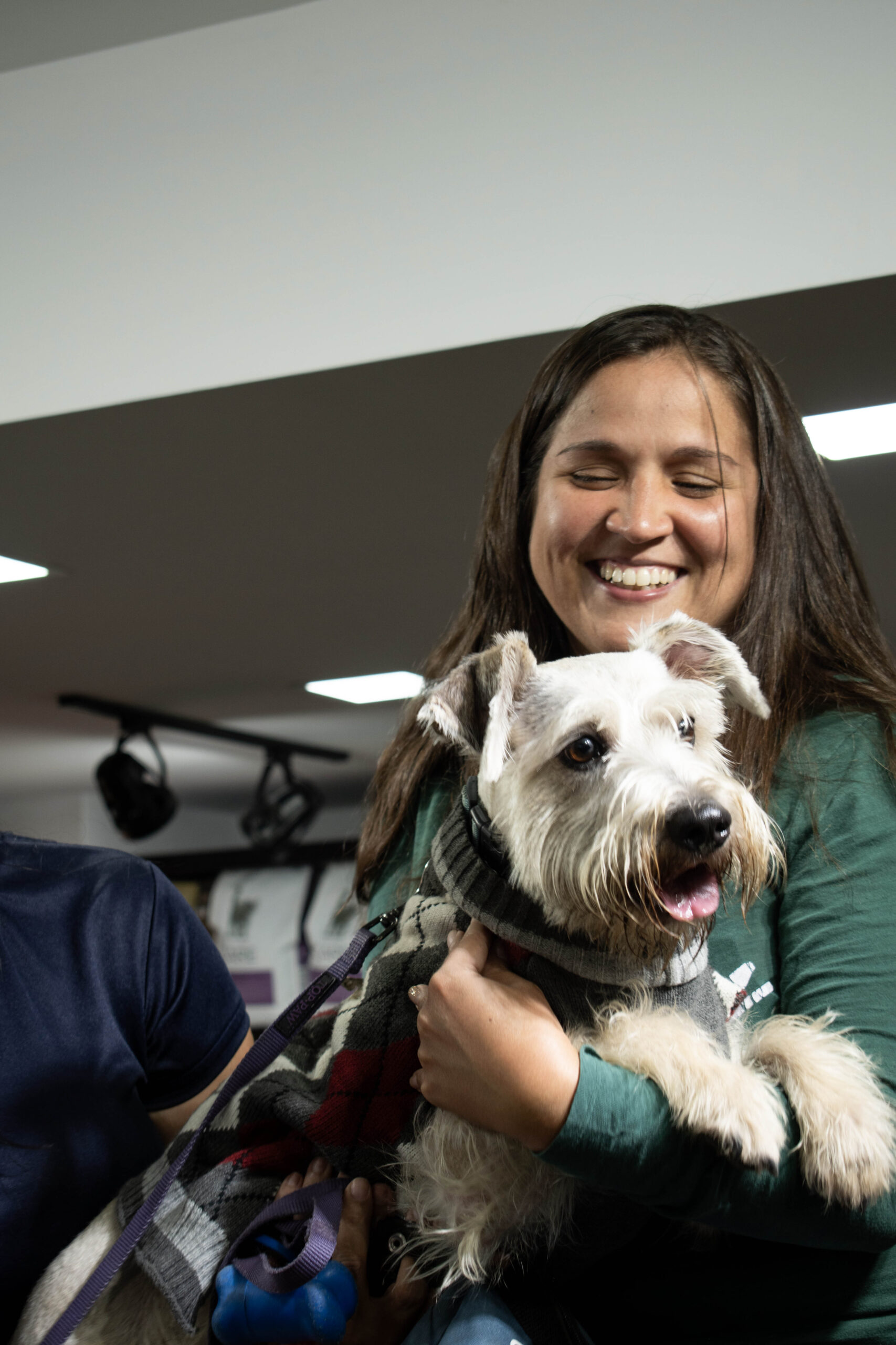 Vidapets apuesta por la construcción de una comunidad Pet friendly