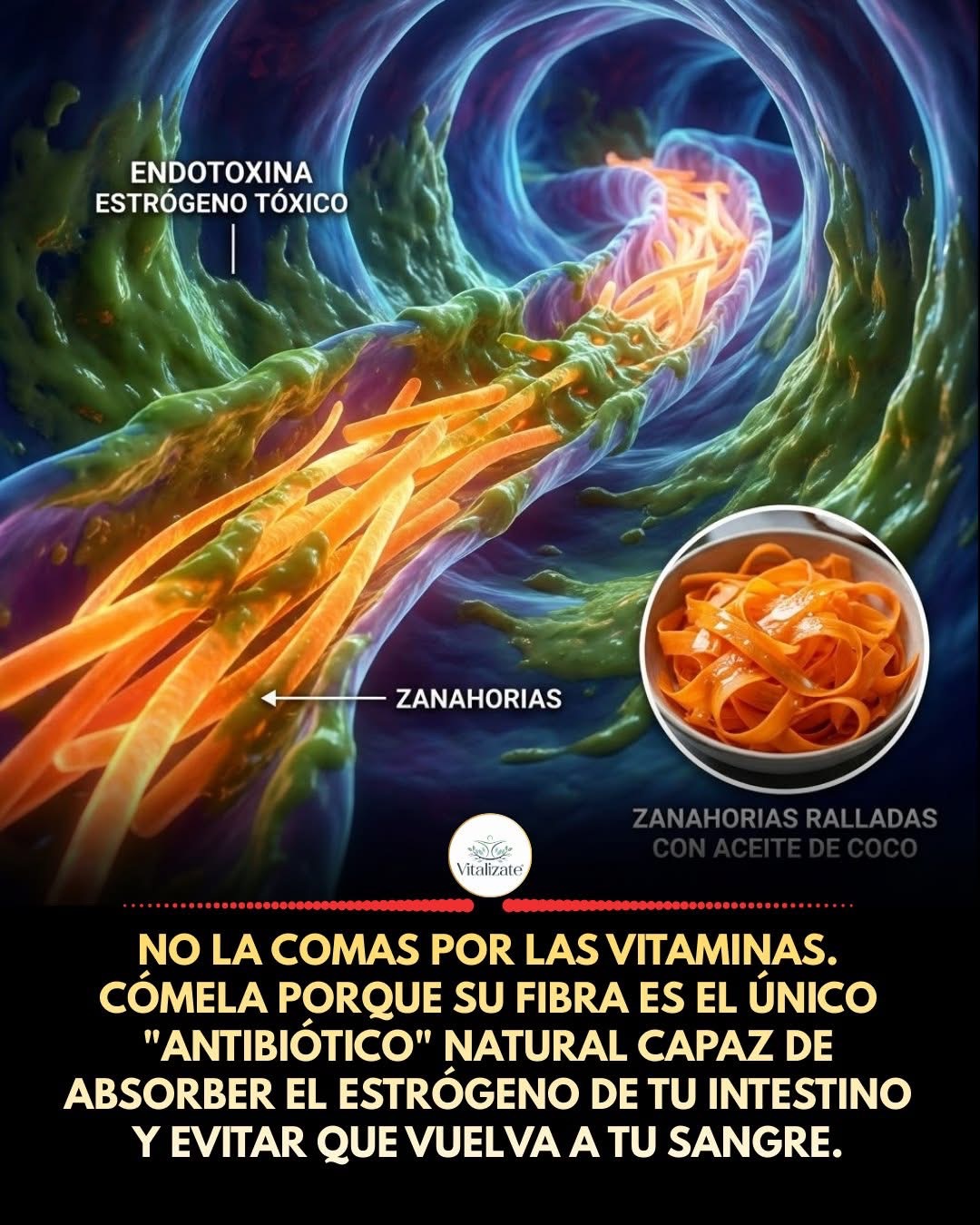 LA ESCOBA INTESTINAL (RAY PEAT)