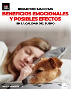 Dormir con tu mascota puede generar una sensación de calma