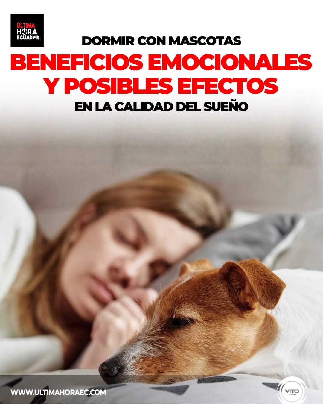 Dormir con tu mascota puede generar una sensación de calma