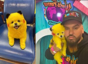 Erik Torres Sobrevive A Un Infarto Masivo Gracias A Zaza (Pikachu), El Perro Viral Que Conquistó Las Redes Y Le Salvó La Vida