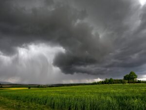 La prevención empieza antes de las lluvias: claves para proteger los cultivos frente a El Niño