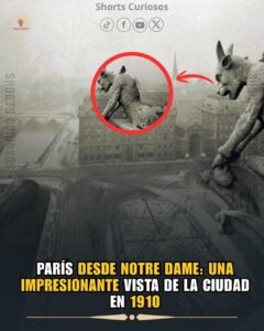 Esta fotografía, tomada desde lo alto de Notre Dame, ofrece una vista impresionante de la capital francesa