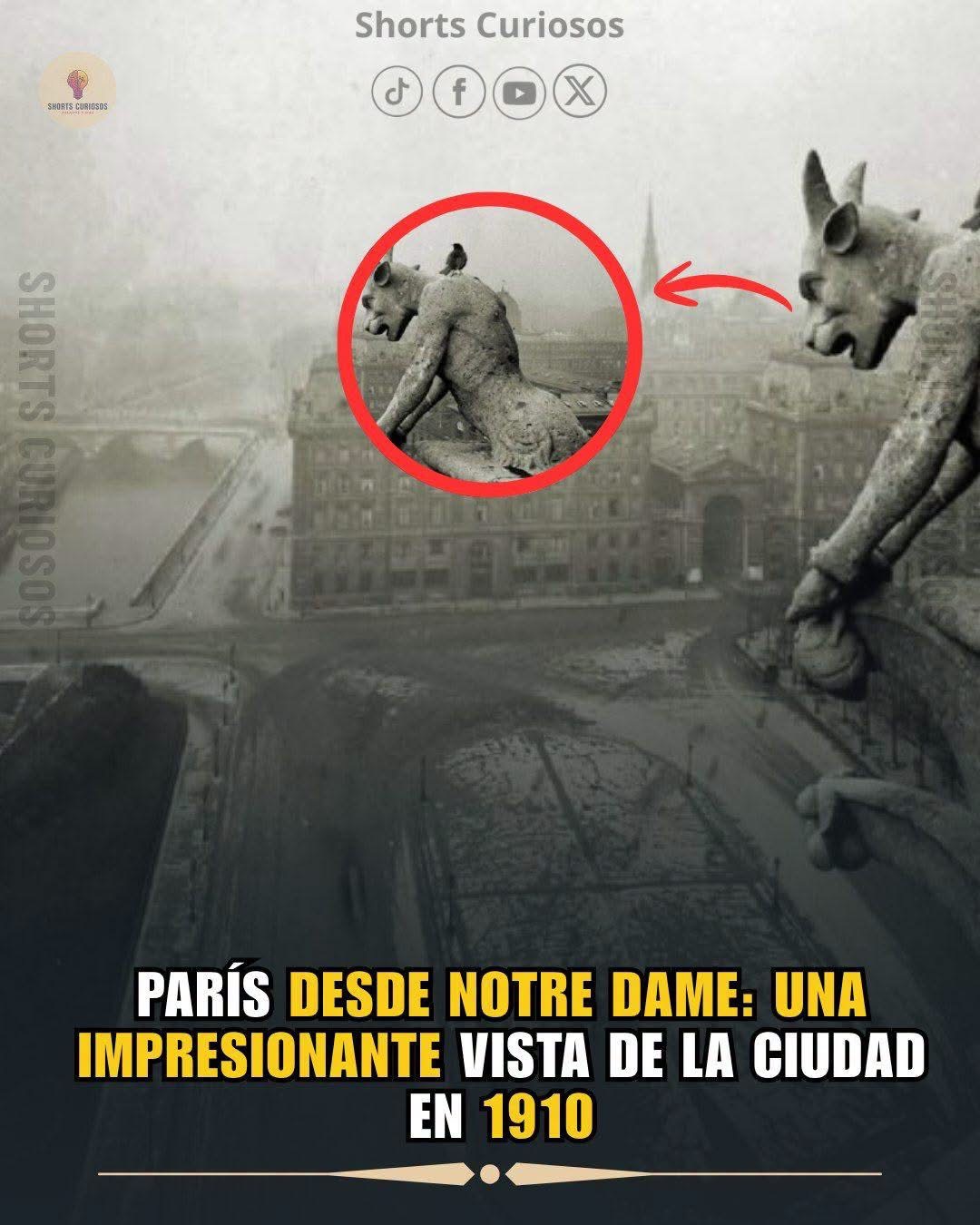 Esta fotografía, tomada desde lo alto de Notre Dame, ofrece una vista impresionante de la capital francesa