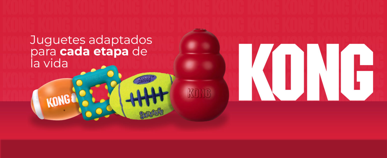 Vidapets presenta juguetes KONG para acompañar cada etapa de la vida de las mascotas