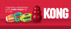 Vidapets presenta juguetes KONG para acompañar cada etapa de la vida de las mascotas