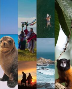 LA GESTIÓN DEL GOBIERNO DEL PRESIDENTE NOBOA IMPULSA EL TURISMO EN ECUADOR: CRECEN LOS VISITANTES Y LAS VENTAS EN 2026