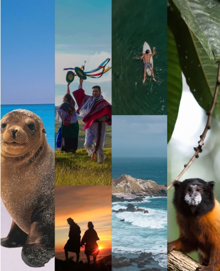 LA GESTIÓN DEL GOBIERNO DEL PRESIDENTE NOBOA IMPULSA EL TURISMO EN ECUADOR: CRECEN LOS VISITANTES Y LAS VENTAS EN 2026