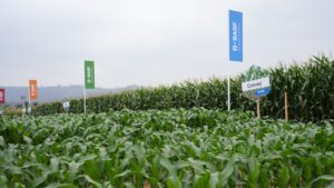 BASF Soluciones para la Agricultura anuncia nueva estructura organizacional con foco en el cliente y en los sistemas de cultivo