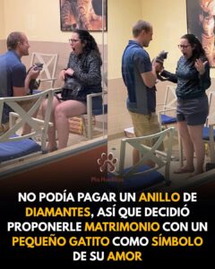💍 No podía comprar un anillo de diamantes, así que decidió pedirle matrimonio con un pequeño gatito rescatado. 😺❤️